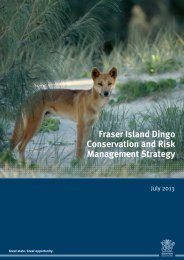 Fraser Island Dingo Conservation and Risk Management Strategy