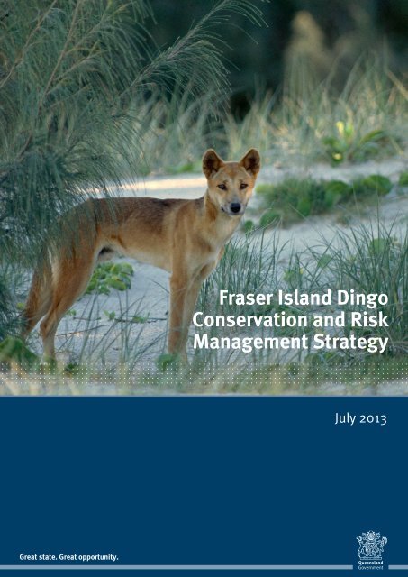 What Do Dingoes Eat On Fraser Island