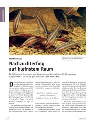 Nachzuchterfolg auf kleinstem Raum by Thomas Beu