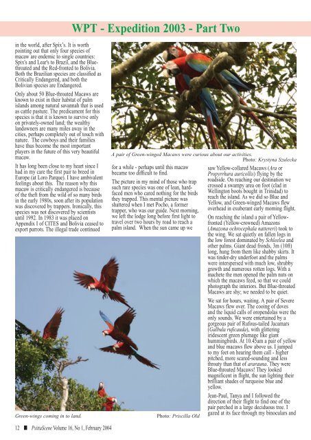 February 2004 - World Parrot Trust