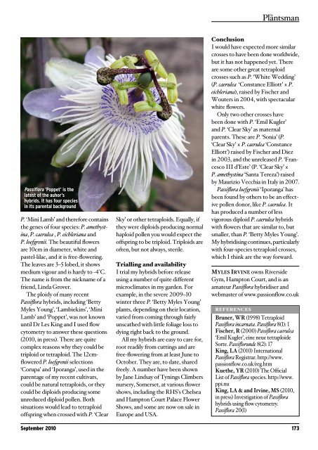 Breeding hardy Passiflora - Passion Flowers