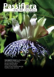 Issue 2 2011 Lo-res PDF - Passion Flowers