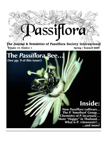 Anthemurgus passiflorae - Passion Flowers