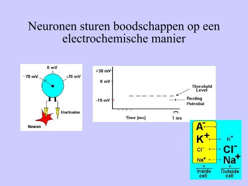 ADHD-medicatie: medische megablunder. - Pateo.nl