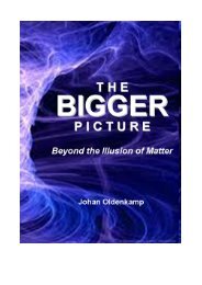 THE BIGGER PICTURE Beyond the Illusion of Matter - Pateo.nl