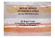 RENAL BIOPSY INTERPRETATION - Pathkids.com