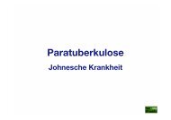 37_Paratuberkulose