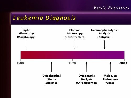 Leukemia Lecture Part 1 - Pathology