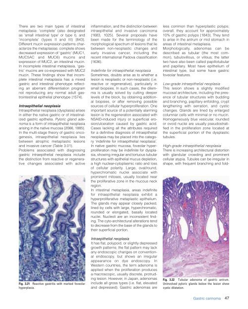 CHAPTER 3 Tumours of the Stomach - Pathology Outlines