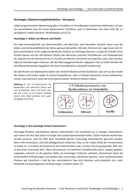 Homology And Analogy Patrickreinke De