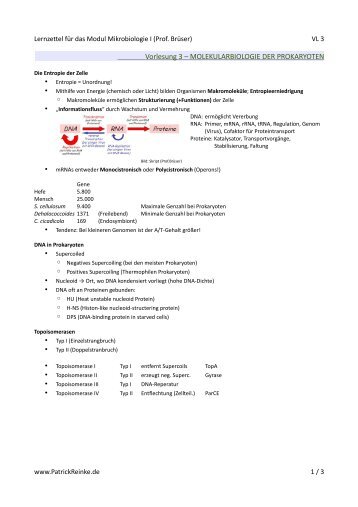MOLEKULARBIOLOGIE DER PROKARYOTEN - PatrickReinke.de