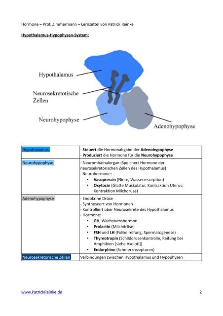 Hormone â Prof. Zimmermann â Lernzettel von ... - PatrickReinke.de