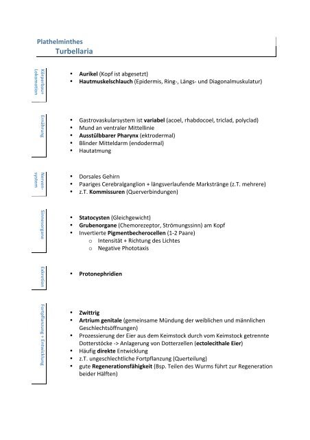 Plathelminthes - PatrickReinke.de