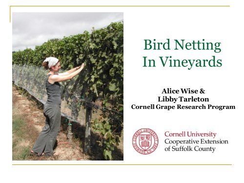 Bird Netting in Vineyards - PA Wine Grape Growers Network