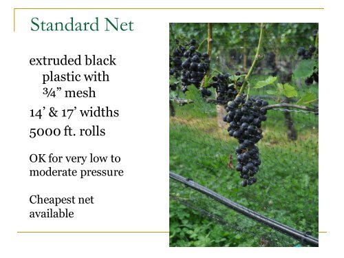 Bird Netting in Vineyards - PA Wine Grape Growers Network