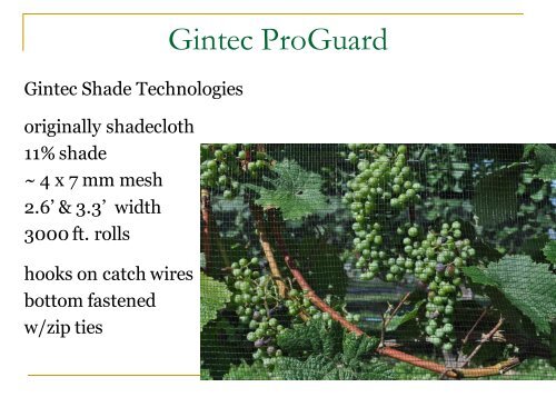 Bird Netting in Vineyards - PA Wine Grape Growers Network