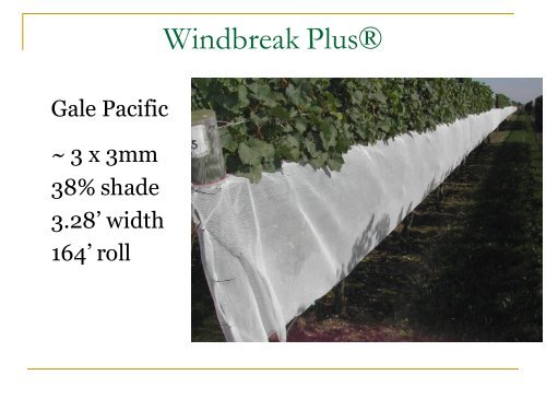 Bird Netting in Vineyards - PA Wine Grape Growers Network