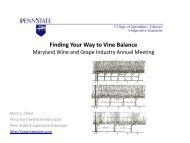 Finding Your Way to Vine Balance - PA Wine Grape Network