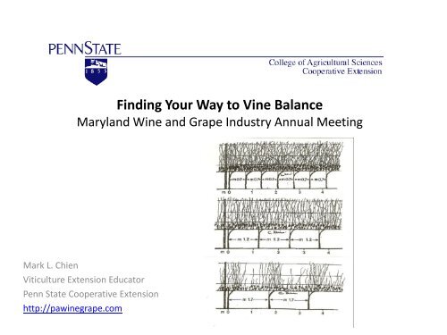 Finding Your Way to Vine Balance - PA Wine Grape Network