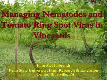 Managing Nematodes and Tomato Ring Spot Virus in Vineyards