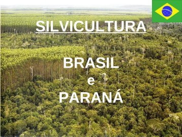 SILVICULTURA BRASIL PARANÁ - UTFPR