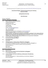 IT Consulting Services (PDF-Datei, nicht barrierefrei)