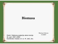 Biomasa, Martina Dolenec - PBF