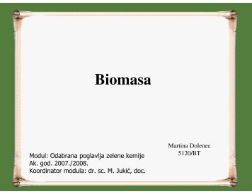 Biomasa, Martina Dolenec - PBF