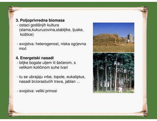 Biomasa, Martina Dolenec - PBF