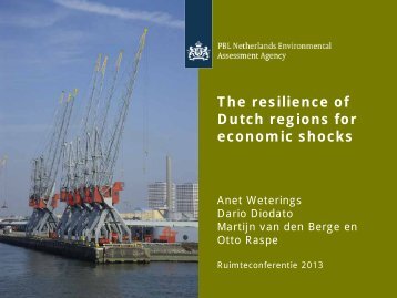 The Resistance of Dutch Regions to Economic Shocks