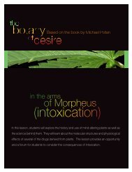 in the arms of Morpheus (intoxication) - PBS