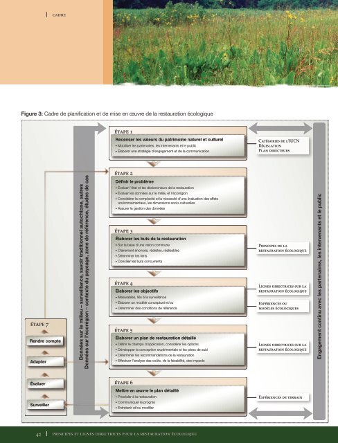 Principes et lignes directrices pour la restauration ... - Parcs Canada