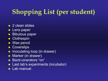 Shopping List (per student)