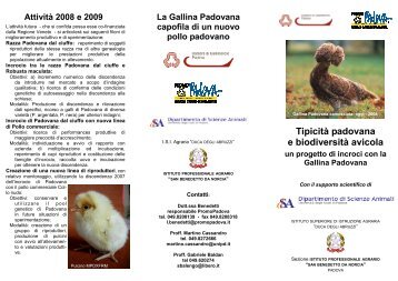 La Gallina Padovana.pdf - Camera di Commercio di Padova
