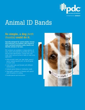 Easily identify and classify animals with Animal ID Bands - Precision ...