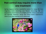 Pest control may require more than one treatment