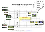 erhalten Sie eine Vorschau der Ausarbeitung - Aktivierungen, ellhol ...