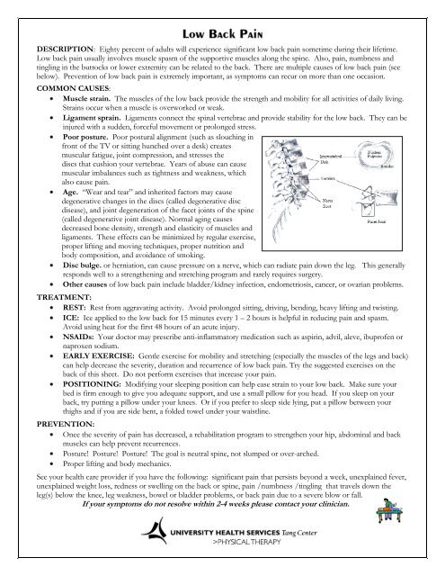 Low Back Pain (pdf)