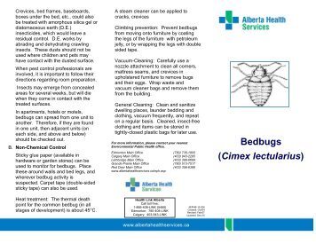 Bedbugs (Cimex lectularius).pub - Alberta Health Services