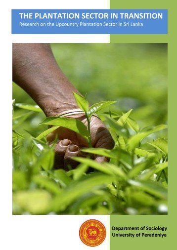 The Plantation Sector in Transition - University of Peradeniya