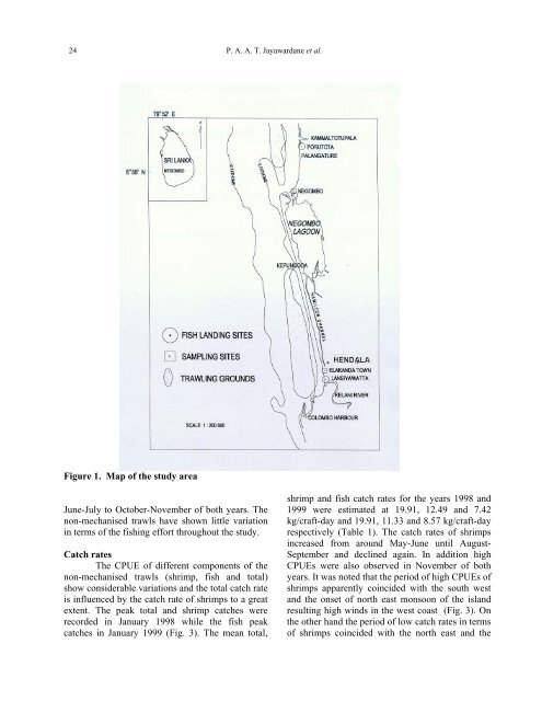 PRESENT STATUS OF THE SHRIMP TRAWL FISHERY IN THE ...