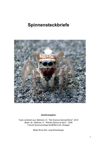 Spinnensteckbriefe