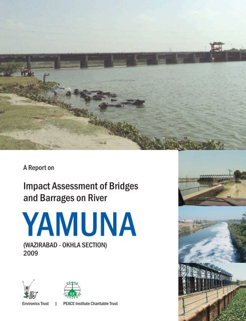 Impact Assessment of Bridges and Barrages on River Yamuna.pdf