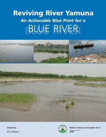 An Actionable Blue Print for a 'Blue River' - PEACE Institute ...