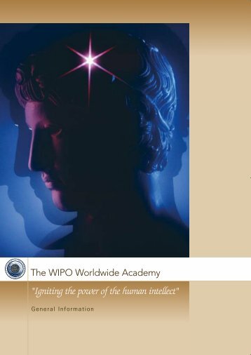 The WIPO Worldwide Academy