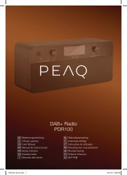 DAB+ Radio PDR100 - PEAQ