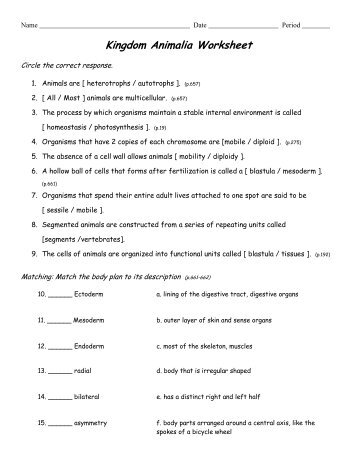 Kingdom Animalia Worksheet