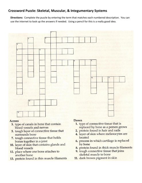 Crossword Puzzle Skeleta