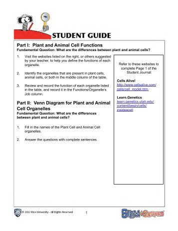 Plant and Animal Cells Student Guide