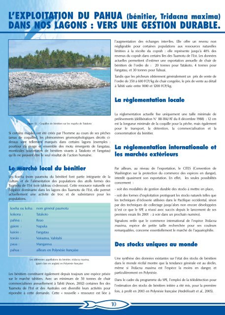 Numéro 19 - Site de la pêche